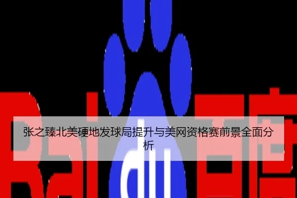 张之臻北美硬地发球局提升与美网资格赛前景全面分析